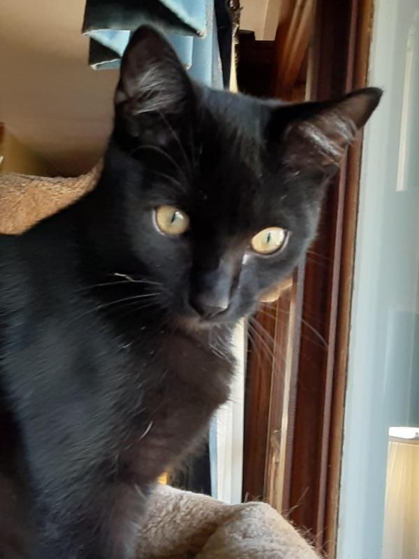 TuckersMom uploaded   357  day/s  ago