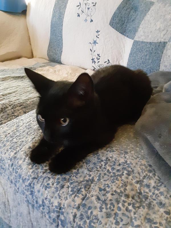 TuckersMom uploaded   358  day/s  ago