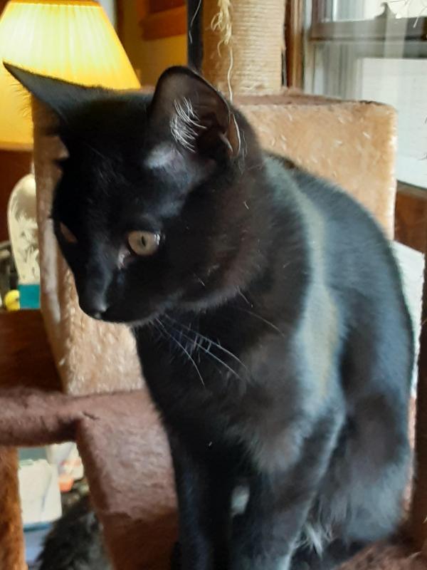 TuckersMom uploaded   357  day/s  ago