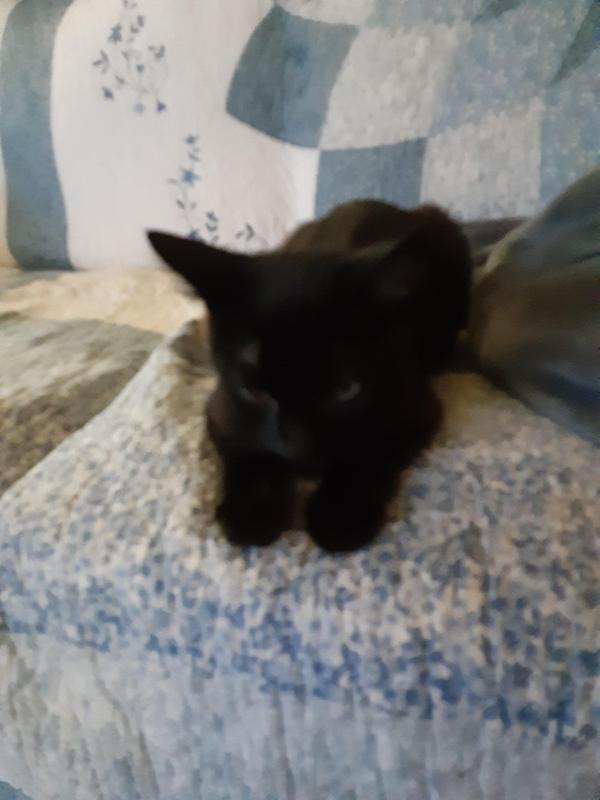 TuckersMom uploaded   358  day/s  ago