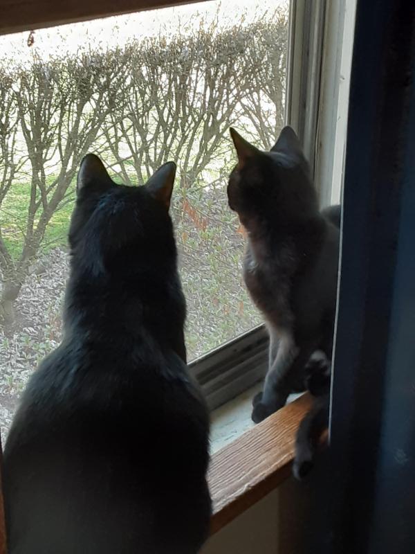 TuckersMom uploaded   357  day/s  ago