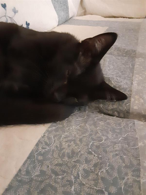 TuckersMom uploaded   358  day/s  ago