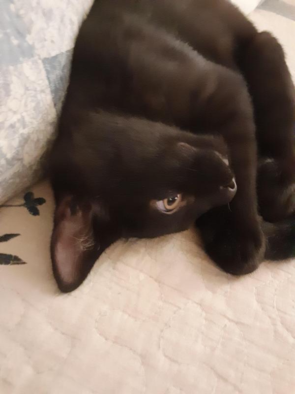 TuckersMom uploaded   358  day/s  ago