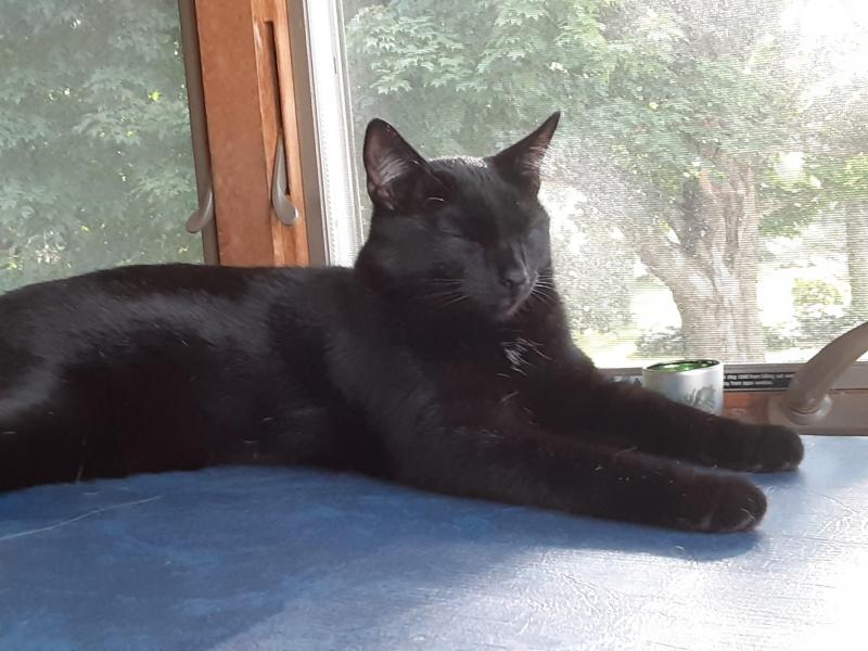 TuckersMom uploaded   184  day/s  ago