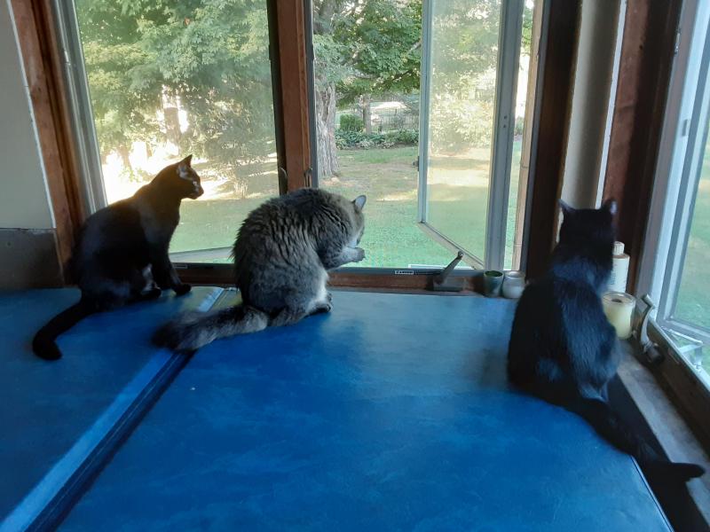 Brody of the TuckersMom family