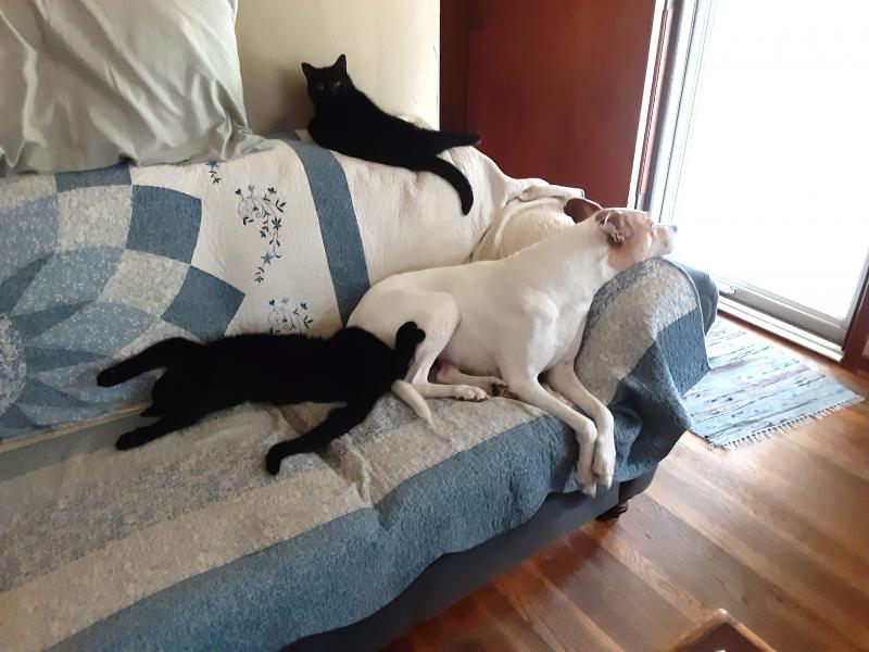 Brody of the TuckersMom family