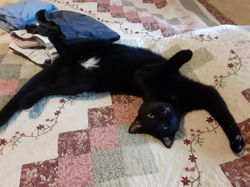 Brody of the TuckersMom family