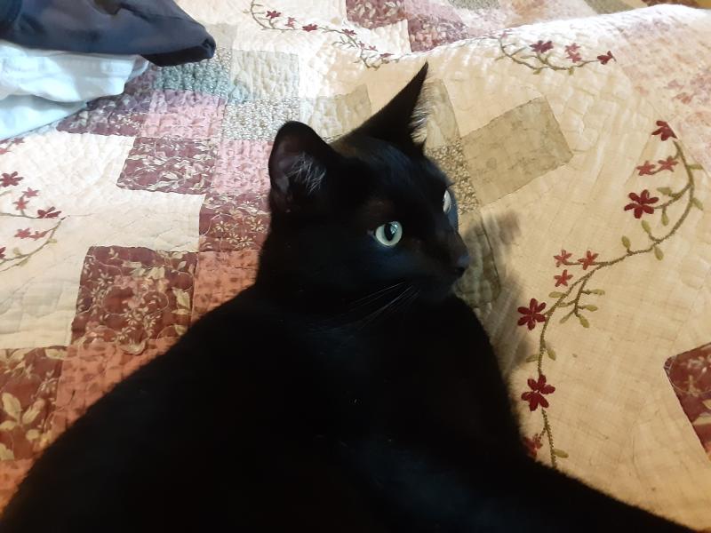 Brody of the TuckersMom family