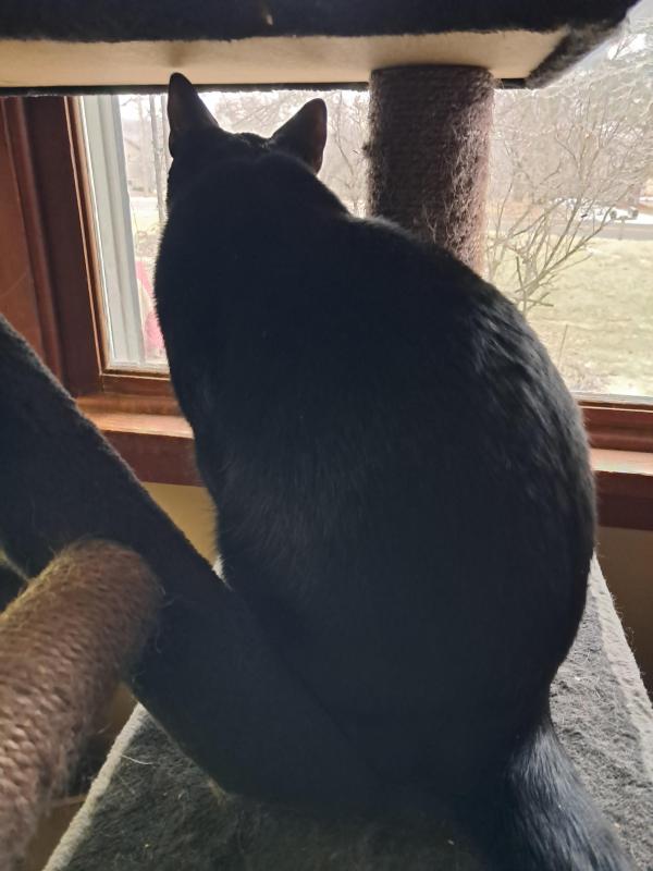 TuckersMom uploaded   1 year/s ago