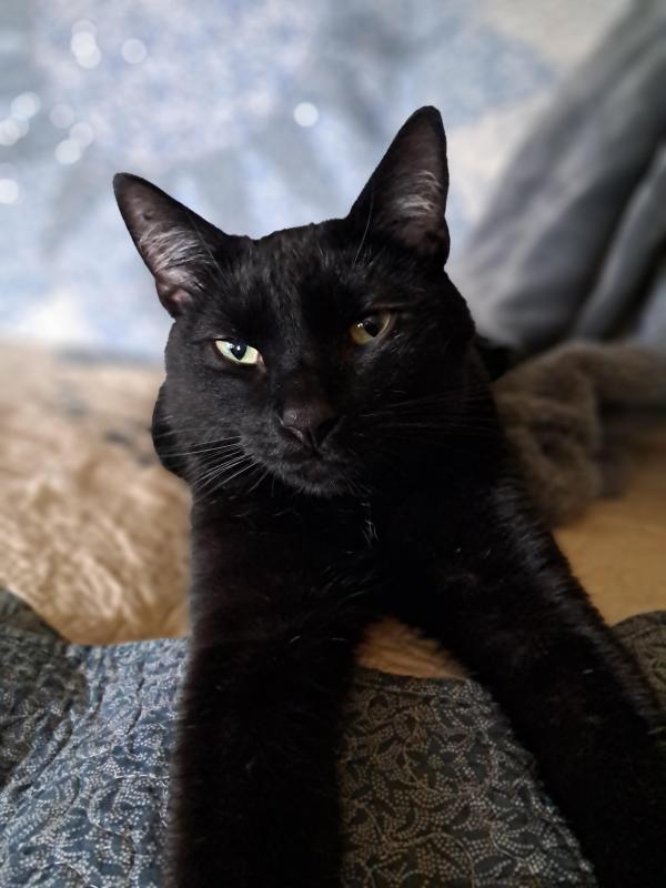 TuckersMom uploaded   1 year/s ago