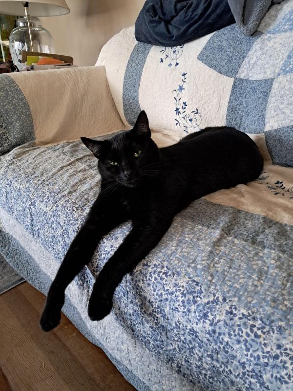 Brody of the TuckersMom family