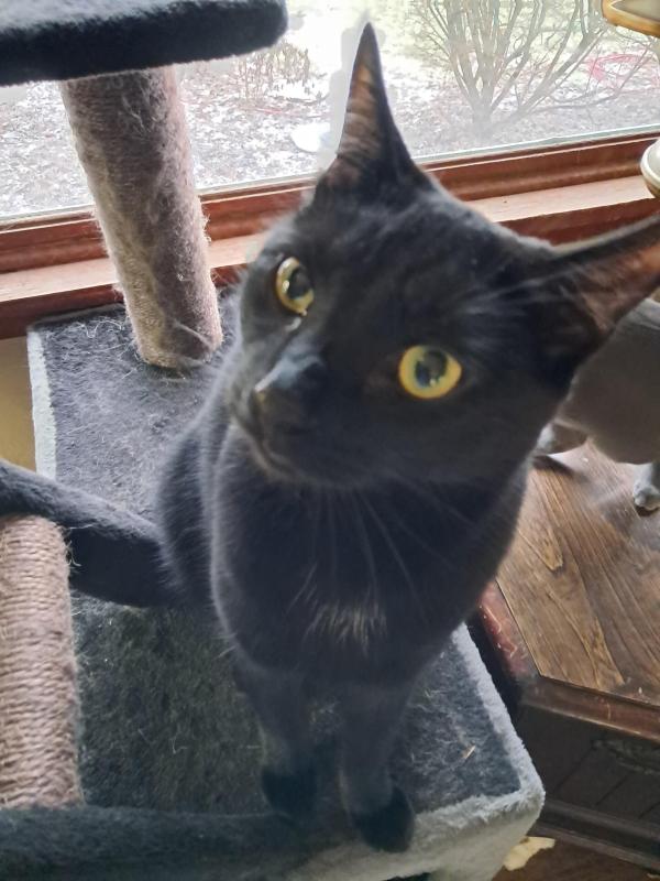 TuckersMom uploaded   37  day/s  ago