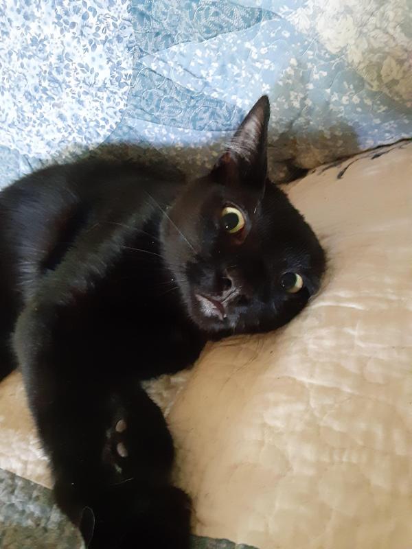 TuckersMom uploaded   184  day/s  ago