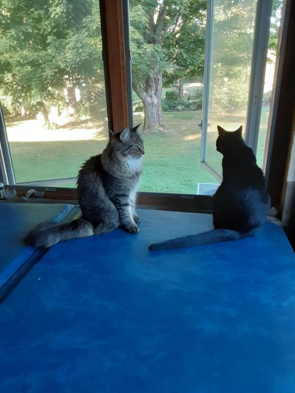 Brody of the TuckersMom family