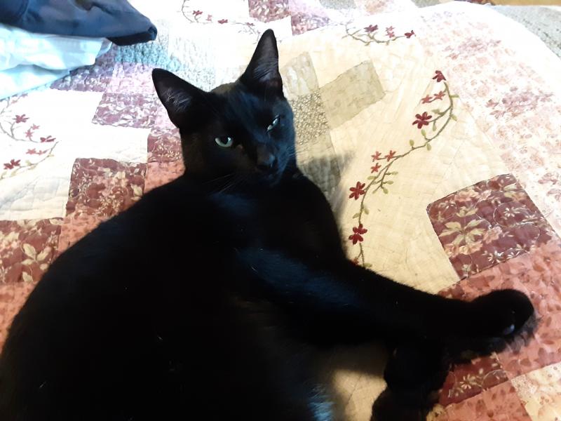 Brody of the TuckersMom family