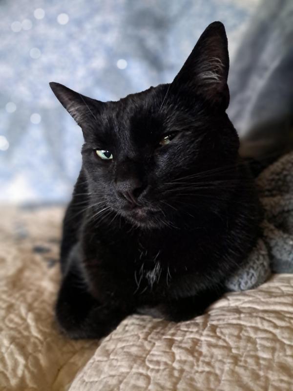 TuckersMom uploaded   1 year/s ago