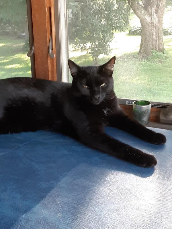 TuckersMom uploaded   184  day/s  ago