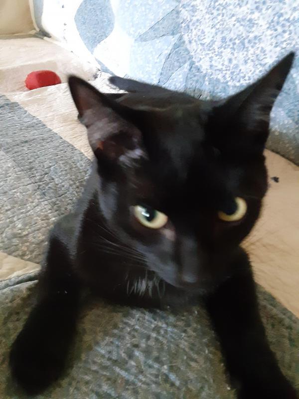 TuckersMom uploaded   184  day/s  ago