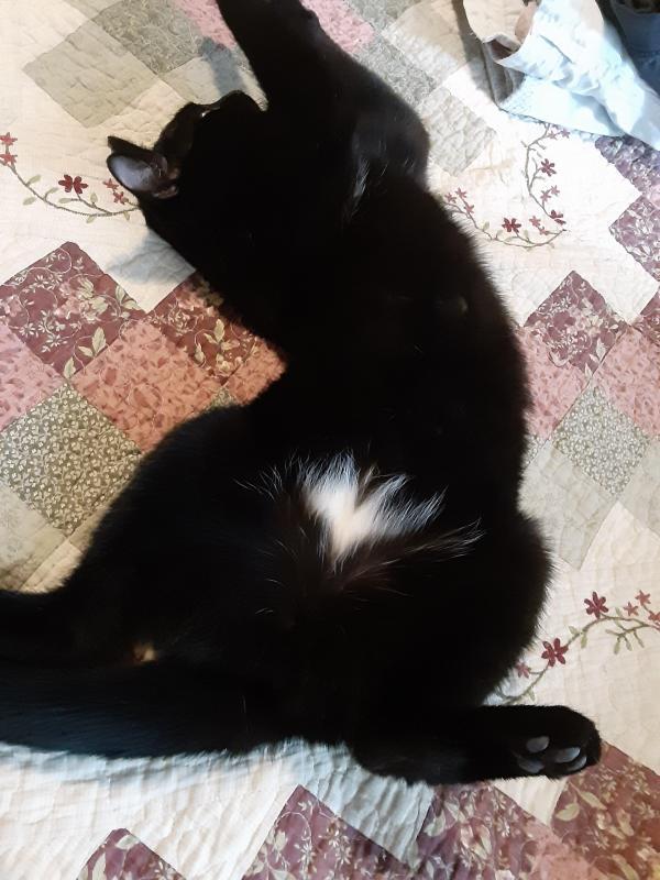 Brody of the TuckersMom family