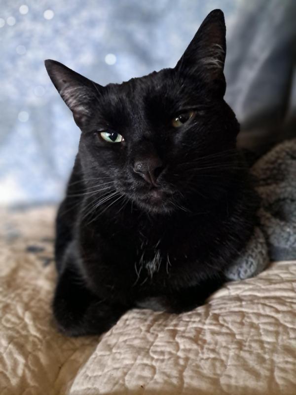 TuckersMom uploaded   1 year/s ago