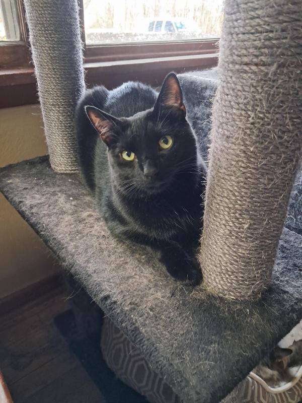 Brody of the TuckersMom family