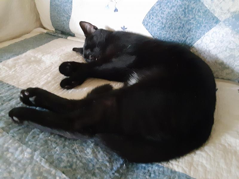 TuckersMom uploaded   184  day/s  ago