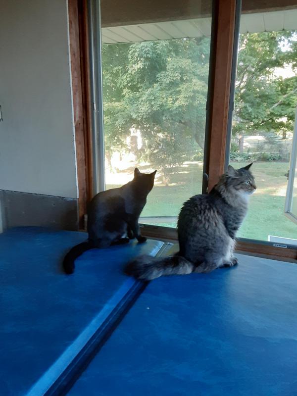 Brody of the TuckersMom family