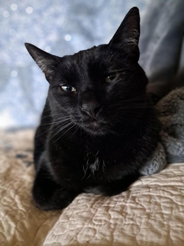 TuckersMom uploaded   1 year/s ago