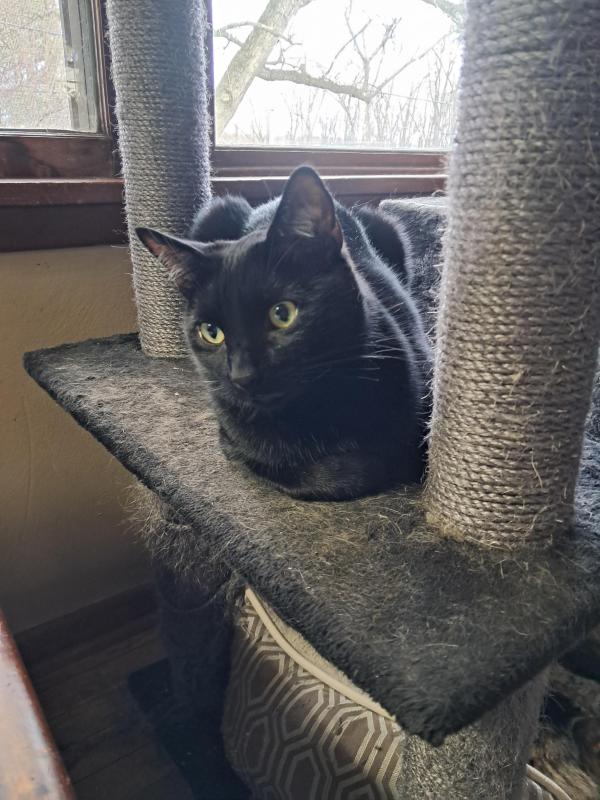 Brody of the TuckersMom family