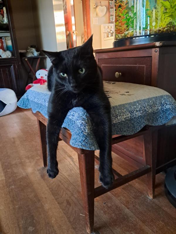 Brody of the TuckersMom family