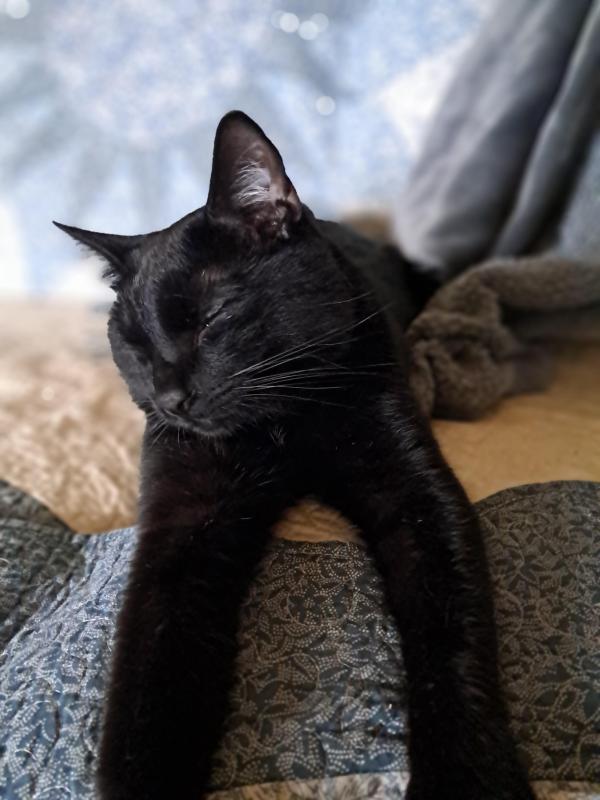 TuckersMom uploaded   1 year/s ago