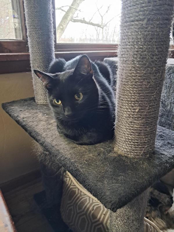 Brody of the TuckersMom family