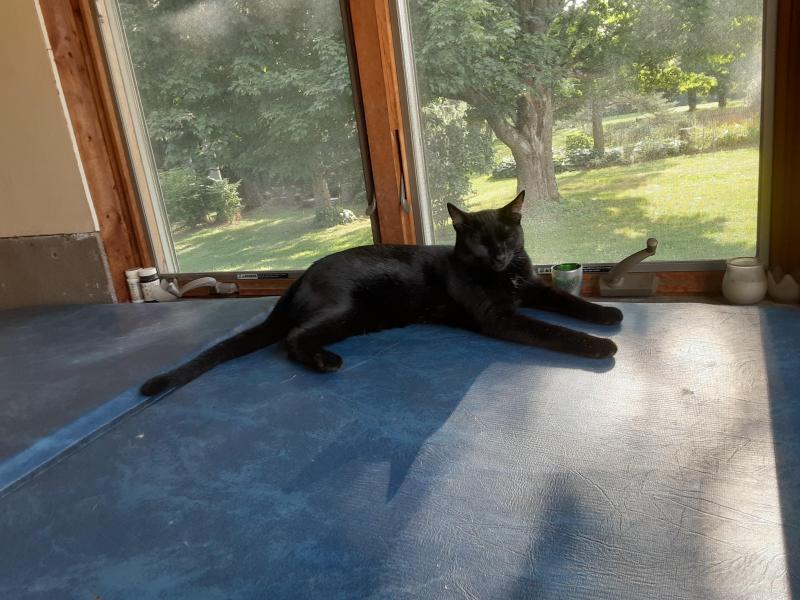 TuckersMom uploaded   184  day/s  ago