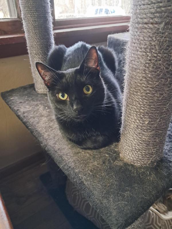 Brody of the TuckersMom family