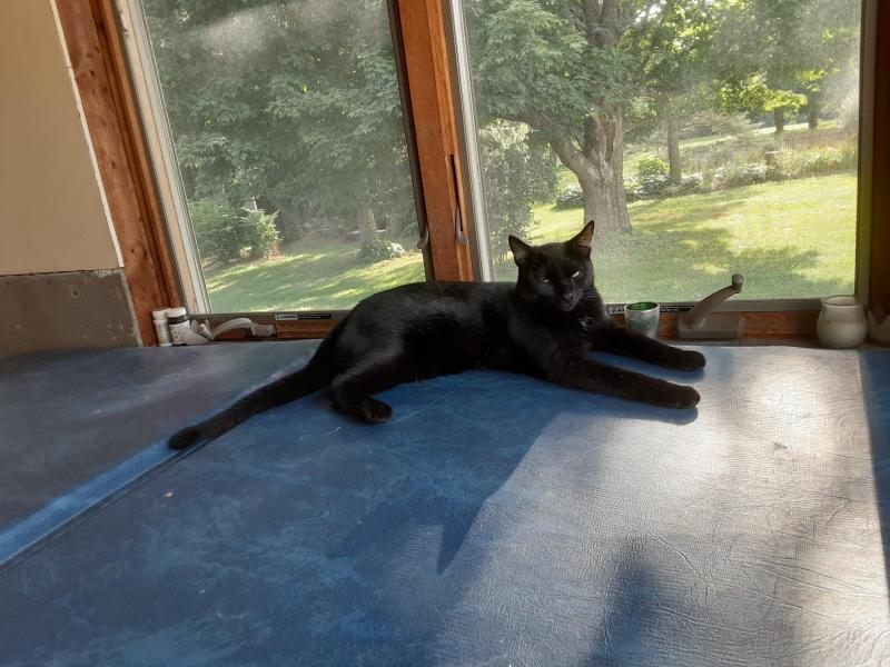 TuckersMom uploaded   184  day/s  ago