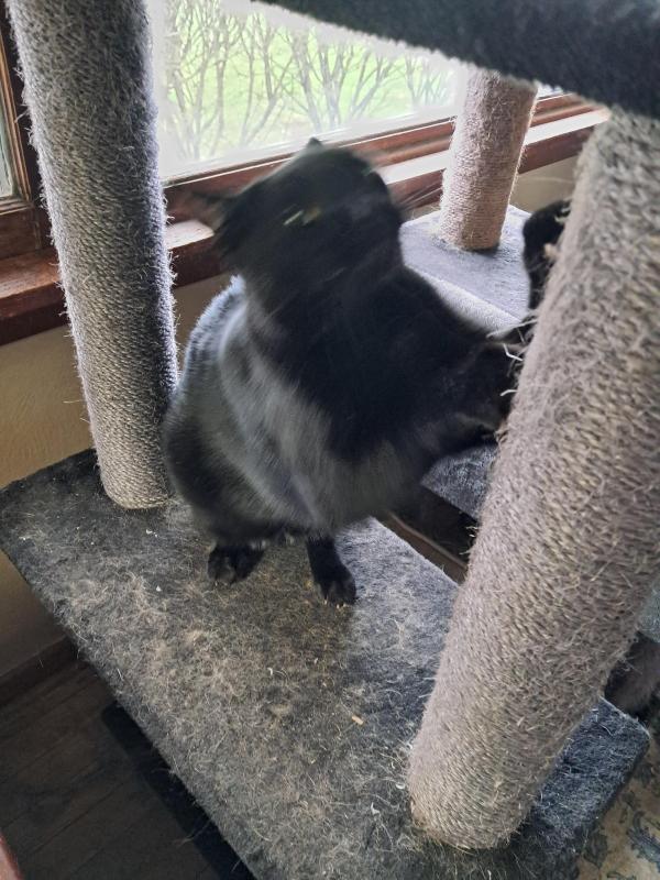 Brody of the TuckersMom family