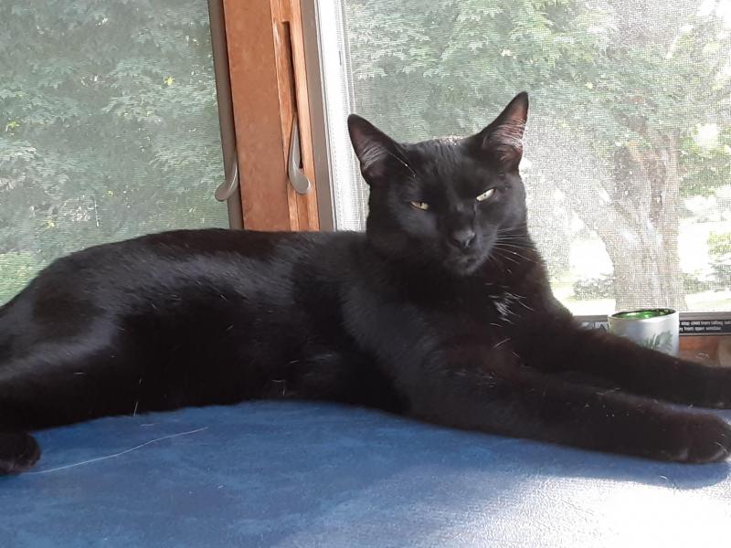 TuckersMom uploaded   184  day/s  ago