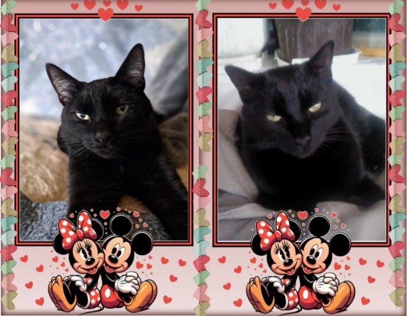 TuckersMom uploaded   41  day/s  ago