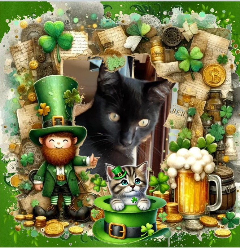 Brody of the TuckersMom family