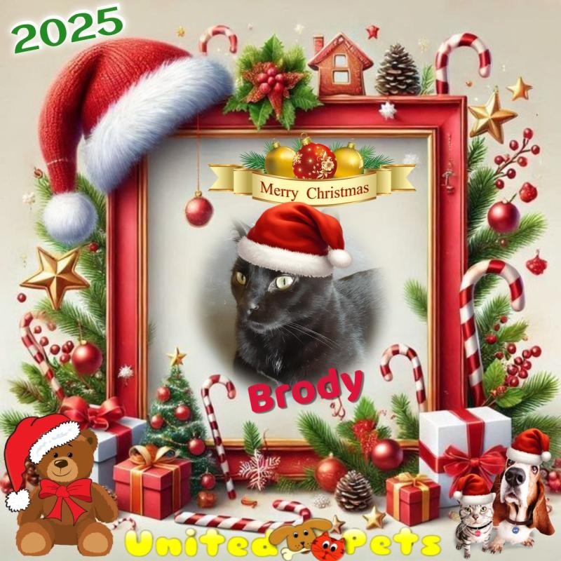 Brody of the TuckersMom family