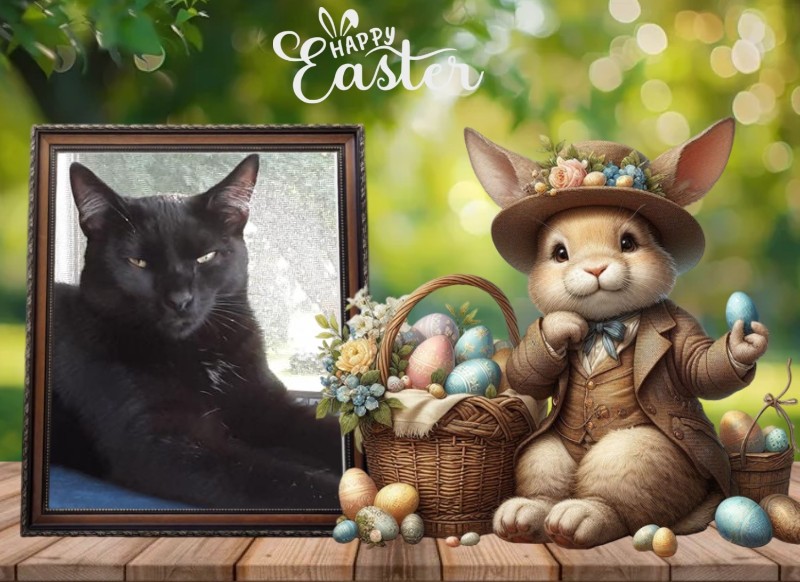 Brody of the TuckersMom family