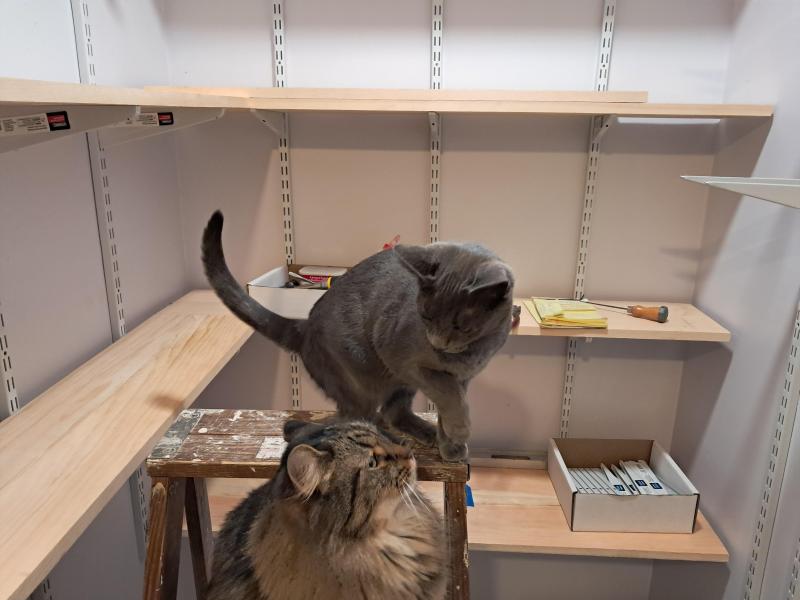 TuckersMom uploaded   100  day/s  ago