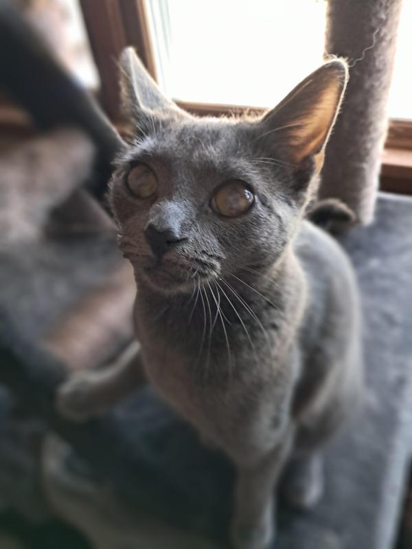 TuckersMom uploaded   100  day/s  ago