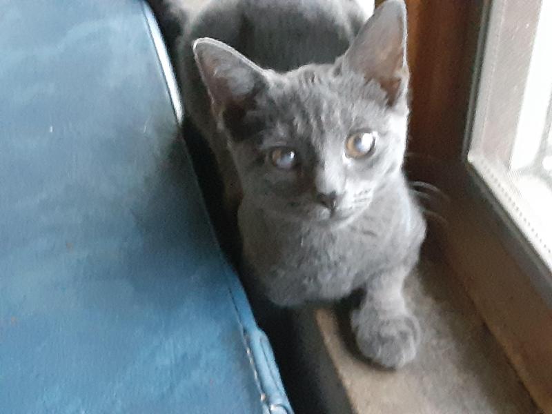 Allie of the TuckersMom family