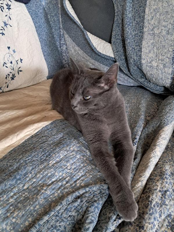 TuckersMom uploaded   78  day/s  ago