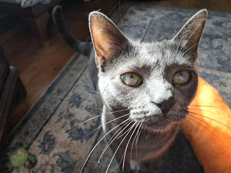 TuckersMom uploaded   11  day/s  ago