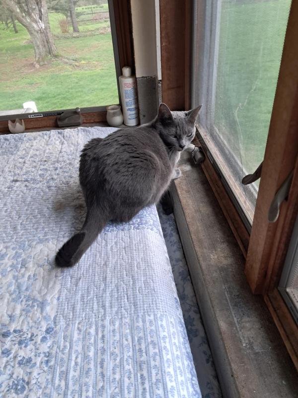 TuckersMom uploaded   1  day/s  ago