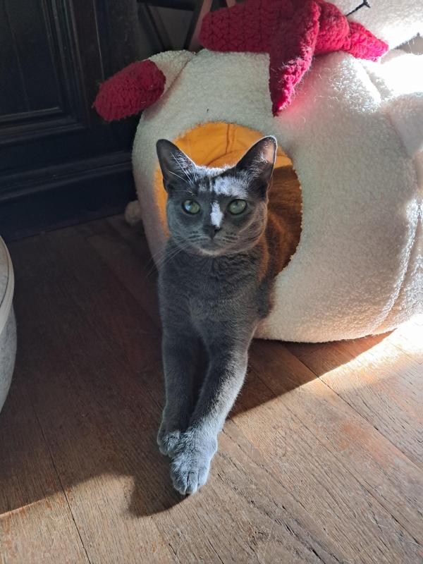 Allie of the TuckersMom family