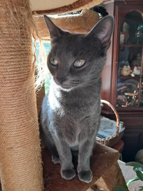 Allie of the TuckersMom family