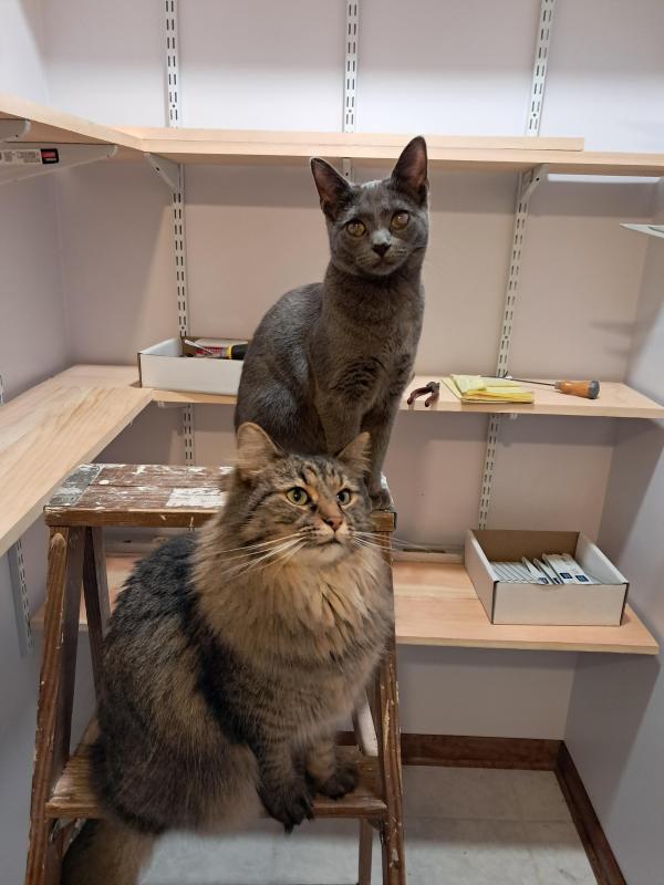 TuckersMom uploaded   100  day/s  ago